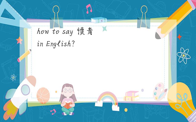 how to say 愤青 in English?