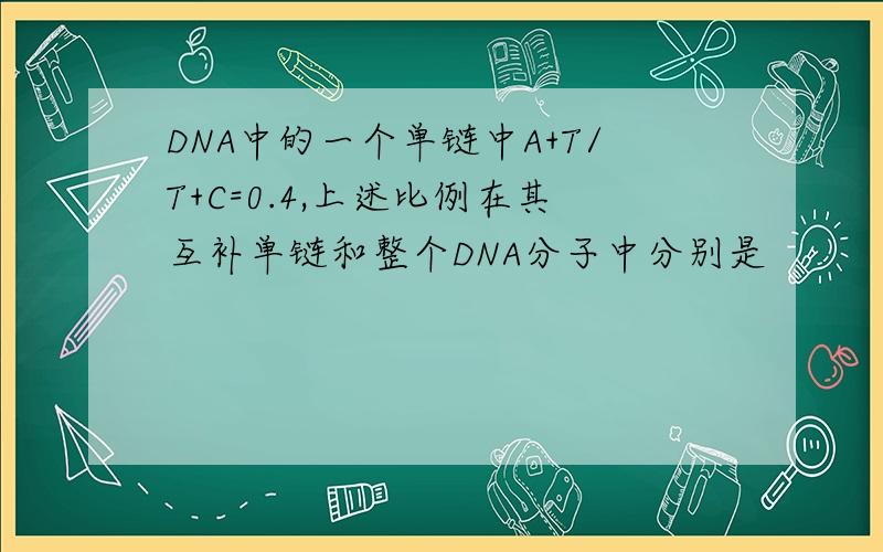 DNA中的一个单链中A+T/T+C=0.4,上述比例在其互补单链和整个DNA分子中分别是