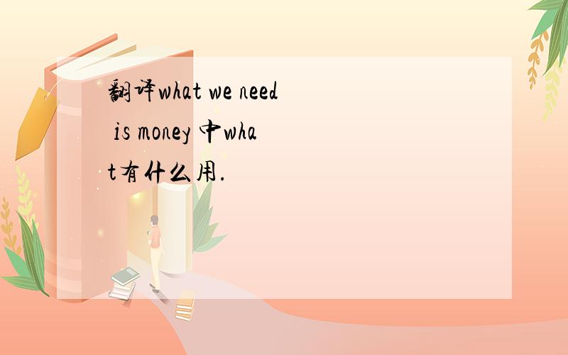 翻译what we need is money 中what有什么用.