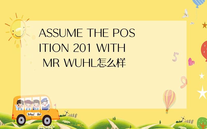 ASSUME THE POSITION 201 WITH MR WUHL怎么样