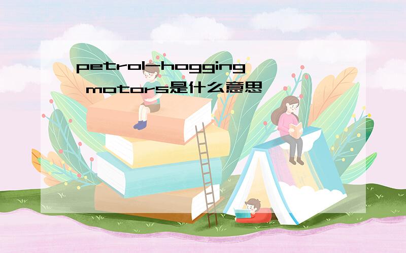 petrol-hogging motors是什么意思