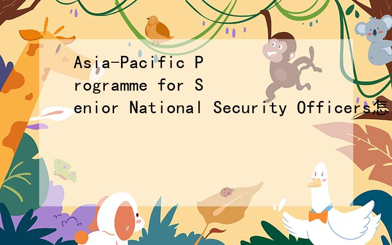Asia-Pacific Programme for Senior National Security Officers怎么翻译