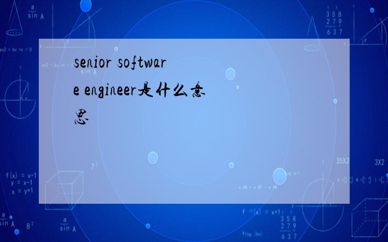senior software engineer是什么意思