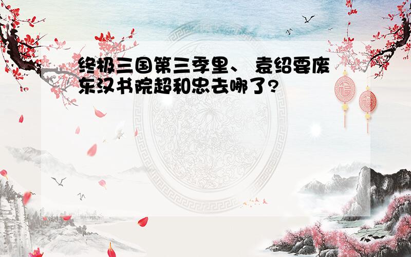终极三国第三季里、 袁绍要废东汉书院超和忠去哪了?