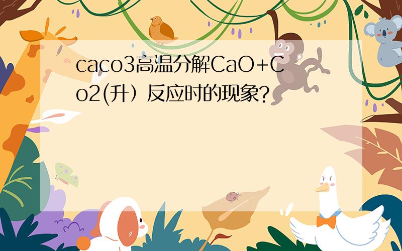 caco3高温分解CaO+Co2(升）反应时的现象?
