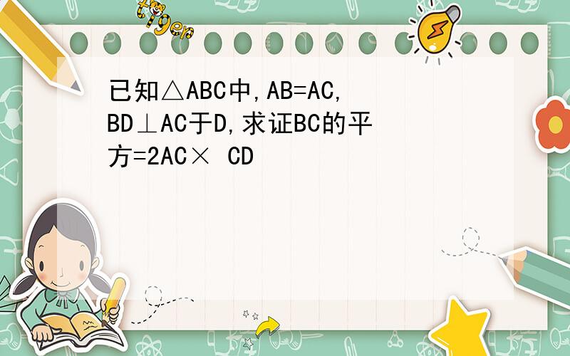 已知△ABC中,AB=AC,BD⊥AC于D,求证BC的平方=2AC× CD