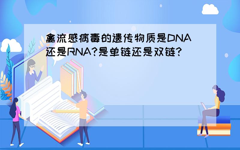 禽流感病毒的遗传物质是DNA还是RNA?是单链还是双链?