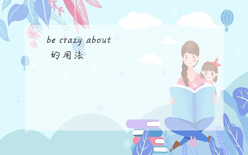 be crazy about 的用法