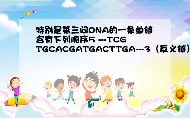 特别是第三问DNA的一条单链含有下列顺序5 ---TCGTGCACGATGACTTGA---3（反义链）问1 DNA的另一条互补链的碱基顺序.2 从反义链转录生成mRNA的碱基顺序.3 预测能合成多少个氨基酸残基的多肽链.希望详