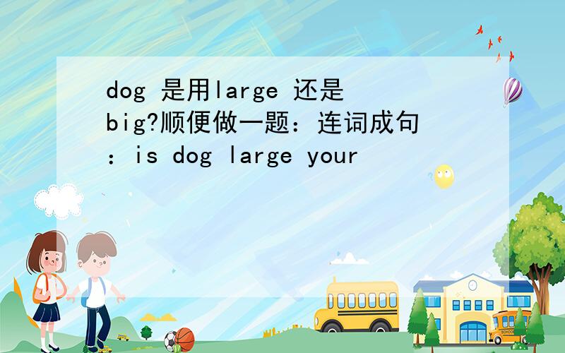 dog 是用large 还是big?顺便做一题：连词成句：is dog large your