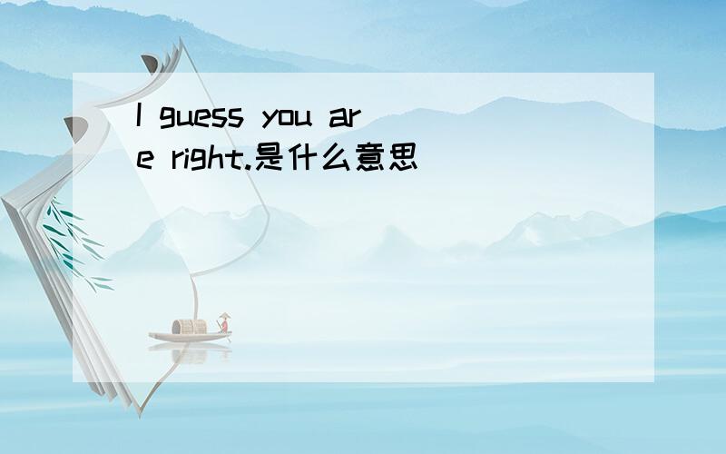 I guess you are right.是什么意思